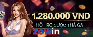 zowin