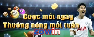 zowin
